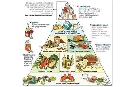 Come San, Medra Feliz : Pirámide Alimenticia