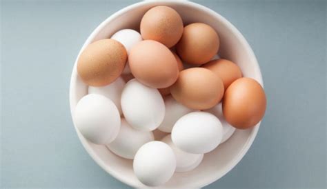 Comer 1 huevo al día es saludable  aunque no lo creas