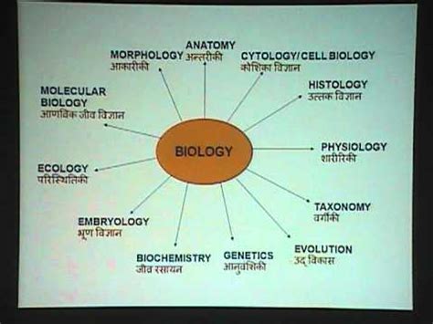 Common Branches of Biology by Dr. Sudhir Kumar, Begusarai ...