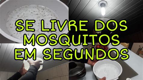 Como acabar com os mosquitos de modo fácil e rápido YouTube