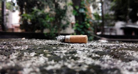 Cómo afecta el consumo de tabaco al ambiente   National ...