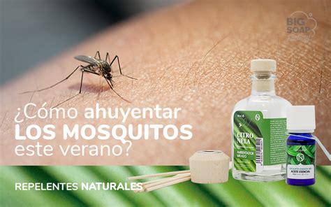 ¿Cómo ahuyentar los mosquitos este verano?   Big Soap Factory