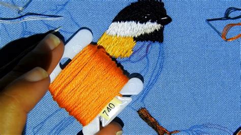 Como bordar un pájaro clase 2 How to embroidery a bird second class ...