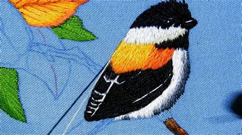 Como bordar un pájaro clase 3 How to embroidery a bird second class 3 ...