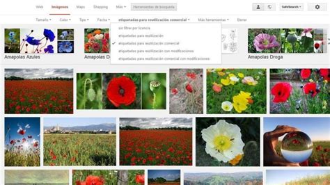 Cómo buscar en Google imágenes sin derechos de autor