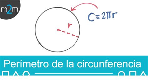 Como calcular el perímetro de una circunferencia   YouTube
