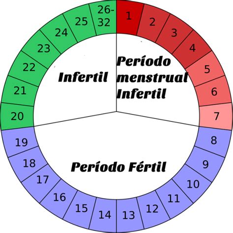 Como calcular o período fértil sem errar