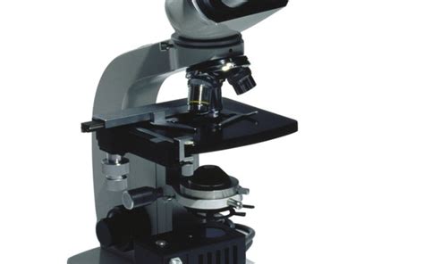 Cómo calibrar microscopios | Techlandia