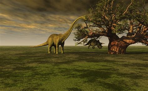 Cómo caminaban los dinosaurios: Estudio