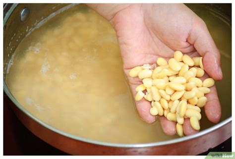 Cómo cocinar soya  soja : 10 pasos   wikiHow