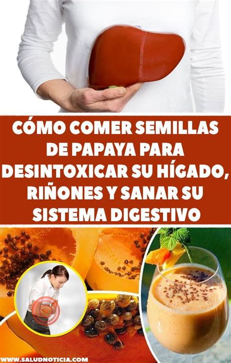 Cómo Comer Semillas De Papaya Para Desintoxicar Su Hígado, Riñones Y ...