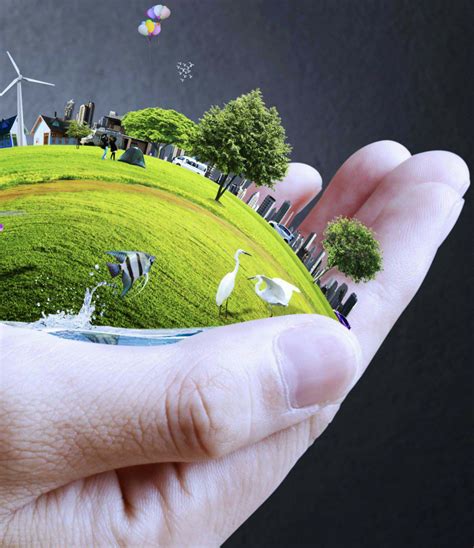 Cómo Cuidar el Medio Ambiente: 24 Cosas Que Todos Debemos ...