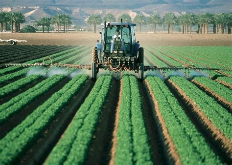 Cómo debe actuar el sector agrícola, ganadero y pesquero ...