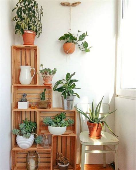 ¿Como decorar con plantas en el interior de tu hogar?   Tu tienda de ...