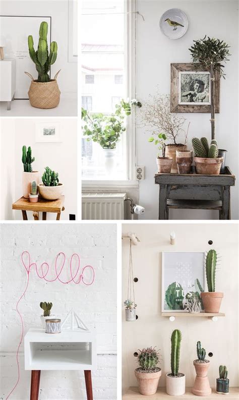 Como decorar cualquier habitacion con plantas de interior