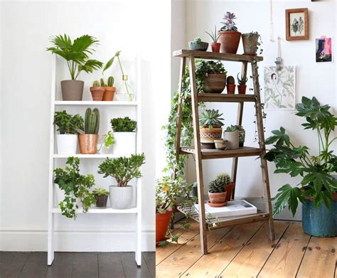 Como decorar cualquier habitacion con plantas de interior