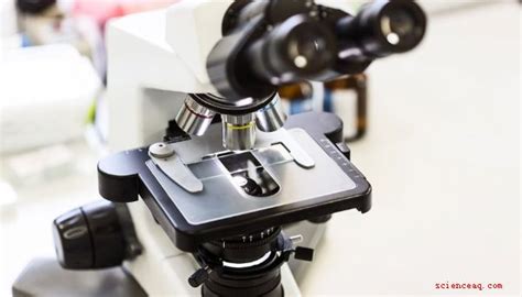 Cómo determinar la ampliación de un microscopio