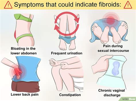 Cómo diagnosticar fibromas uterinos: 11 pasos