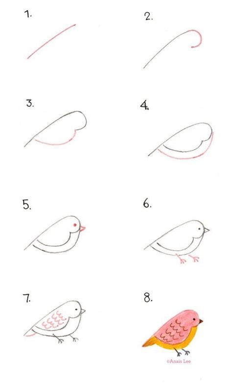Cómo dibujar pájaros Cómo dibujar pájaros. Instrucciones fáciles de ...