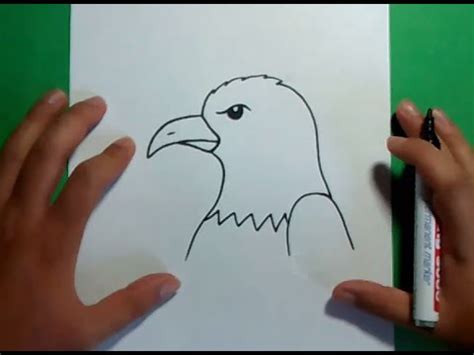 Como dibujar un aguila paso a paso 3 | How to draw an ...