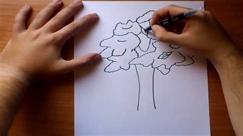 Como dibujar un arbol paso a paso 2 | How to draw a tree 2 ...
