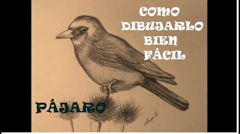 Como dibujar un ave  pájaro  bien fácil. PASO A PASO ...