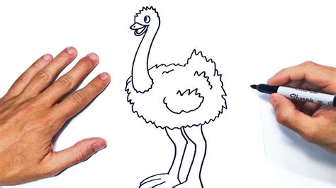 Cómo dibujar un Avestruz Paso a Paso | Dibujo de Avestruz ...