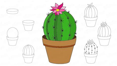 Cómo dibujar un cactus con flor en maceta
