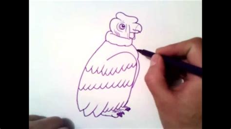 como dibujar un condor paso a paso | como dibujar un condor   YouTube