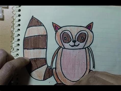 Como dibujar un mapache para niños de preescolar y ...