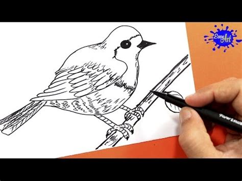 Como dibujar un pájaro fácil