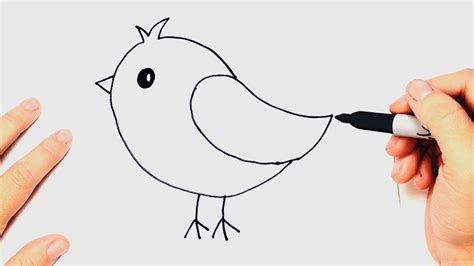 Como dibujar un Pájaro muy fácil Paso a Paso YouTube