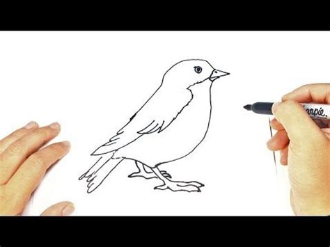 Como dibujar un Pajaro paso a paso fácil   YouTube | Dibujos de pájaro ...