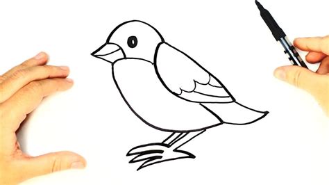 Cómo dibujar un Pájaro paso a paso para niños | Dibujo de animales para ...