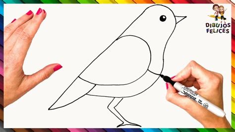 Cómo Dibujar Un Pájaro Paso A Paso Para Niños  Dibujo De Pájaro Fácil ...