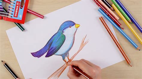 Cómo dibujar un pájaro   www.stabilo.es