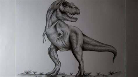 Cómo dibujar un Tiranosaurio Rex a lápiz paso a paso, cómo dibujar ...