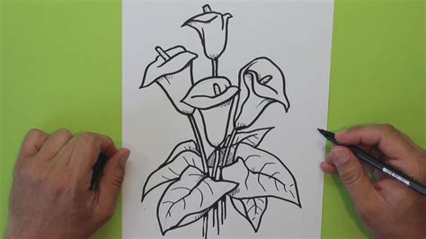 Cómo dibujar una flor Cala  Alcatraz, Lirio de agua    How ...
