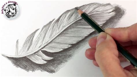 Como Dibujar una pluma a Lapiz | Tecnicas de Dibujo con ...