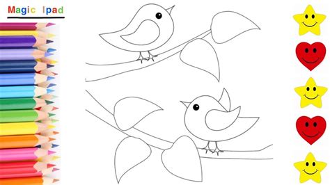 Como Dibujar y Colorear PAJAROS  How to Draw BIRDS   YouTube