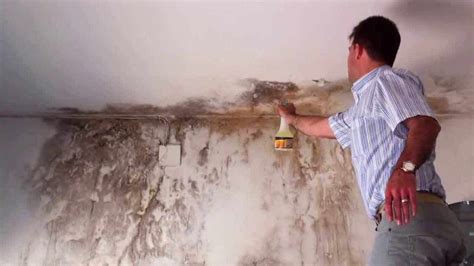 Cómo eliminar la humedad de las paredes   e Consejos