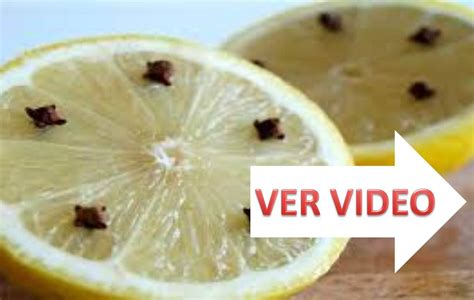 Como eliminar moscas y otros insectos con limón   YouTube
