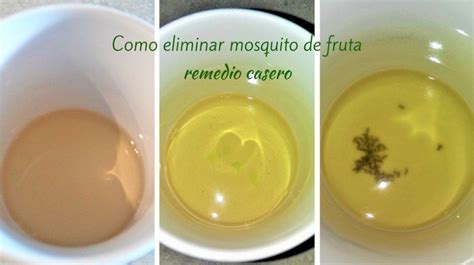 Cómo eliminar mosquito de fruta.   I food mom | Repelente de mosquitos ...
