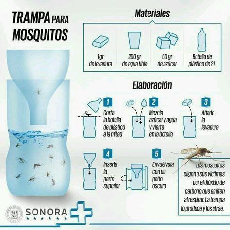 Como eliminar mosquitos de forma casera | Actualizado mayo 2022