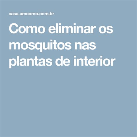 Como eliminar os mosquitos nas plantas de interior ...