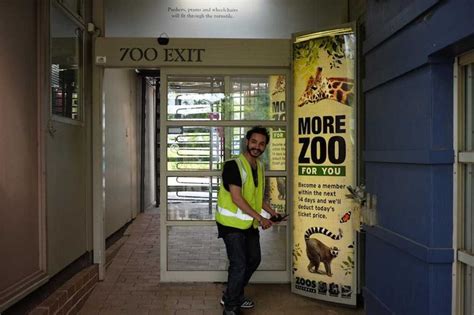 Cómo entrar gratis al zoo, al cine y a un concierto