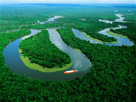 ¿Cómo era el Amazonas antes de la llegada de los europeos?