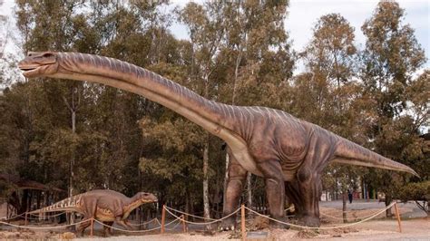 ¿Cómo era el dinosaurio más grande de todos los tiempos ...
