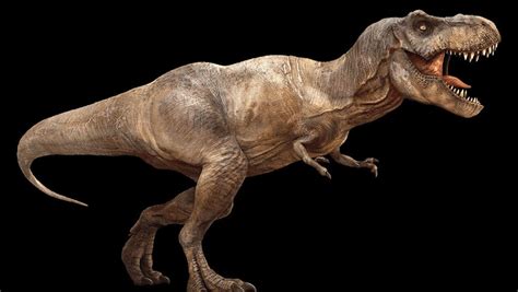 ¿Cómo era realmente el  Tyrannosaurus rex ?  FOTO