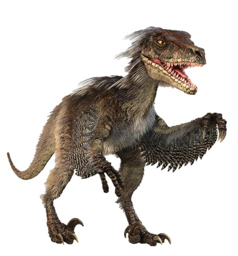 ¿Cómo era realmente el velociraptor, el dinosaurio más ...
